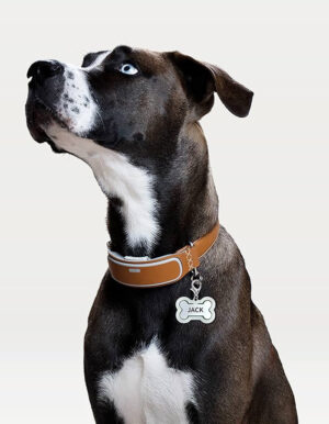 Placa para Mascotas